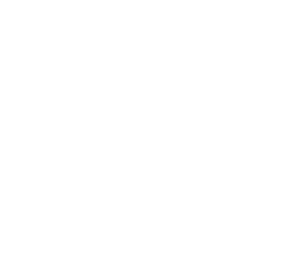 Patrocinador 2